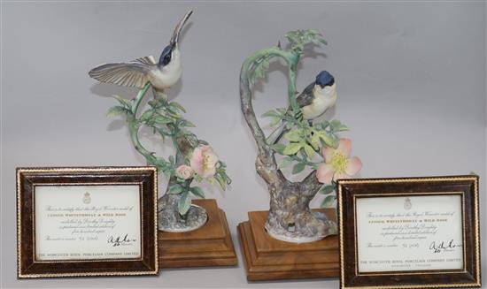 A pair of Royal Worcester models; Lesser Whitethroat and Wild Rose, no.52.